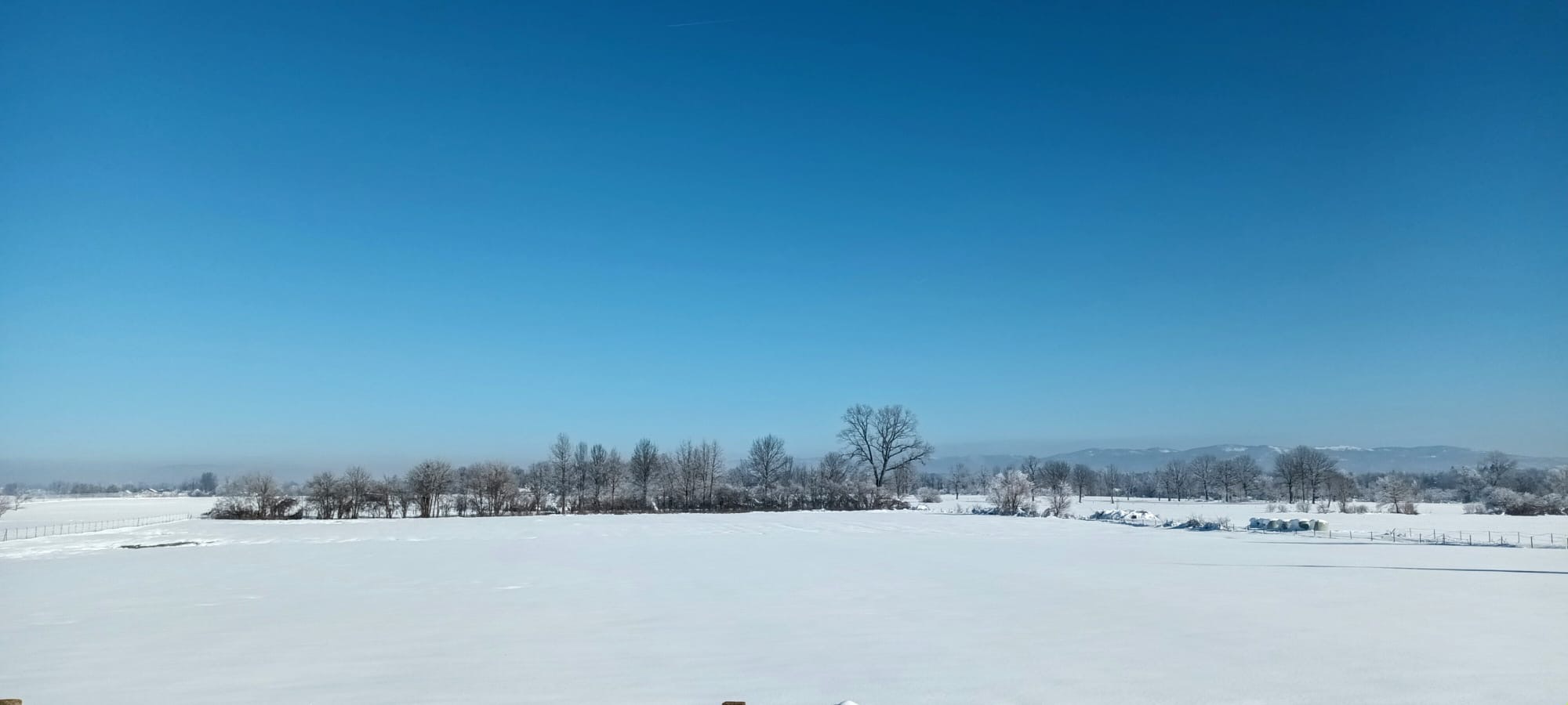 201df5fd-ce5d-4e3a-aec2-ac8e8024a5d5.jpeg