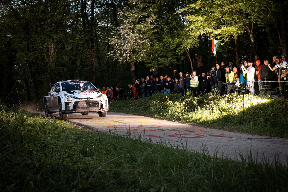 wrc_marjan_radovic_1.jpg