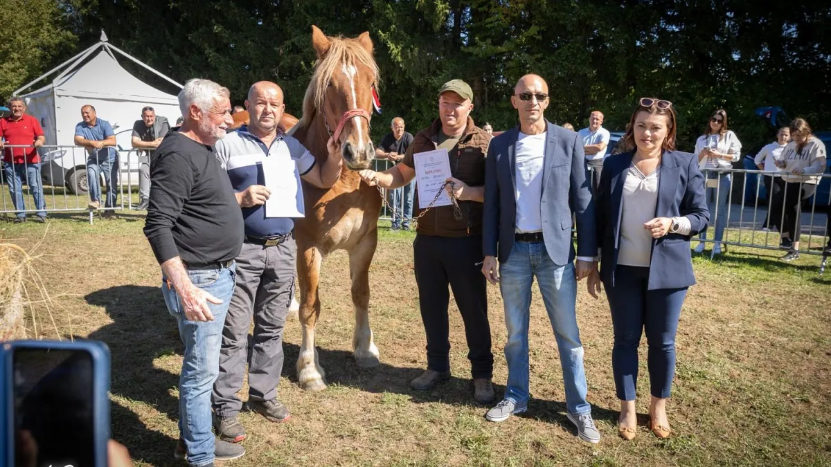 Proglašena šampionska grla na izložbama hrvatskog hladnokrvnjaka, posavca i buše