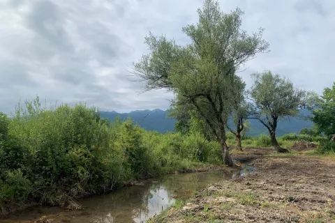 Čiste se uzvodni pritoci Like