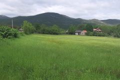 Prirodni pesticidi efikasno štite usjeve