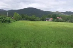Prirodni pesticidi efikasno štite usjeve