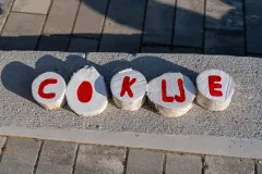 Otvorene prijave za izbor “Naj bećarca” u sklopu 7. The Coklje festa