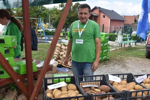 Lički krumpir ove godine ima odlične klimatske uvjete za rast