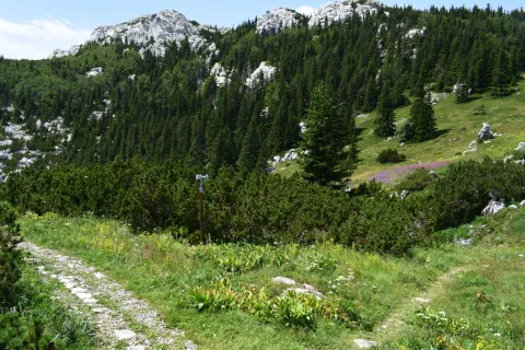 Nacionalni park Sjeverni Velebit danas slavi svoj 25. rođendan