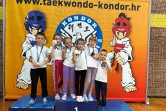 Velik uspjeh ličkih taekwondo klubova na međunarodnom turniru u Zagrebu