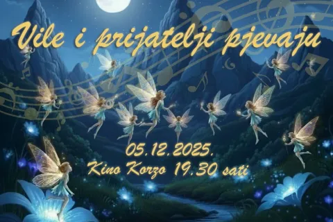 Vile i prijatelji pjevaju: Glazbena večer udruge “Vila za Liku” u Gospiću