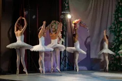 FOTO Ukrainian Classical Ballet osvojio Gospić: Božićne bajke oživjele kroz plesnu čaroliju