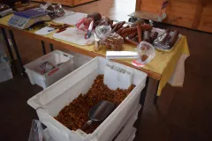 Nisu niti čvarci što su nekada bili…
