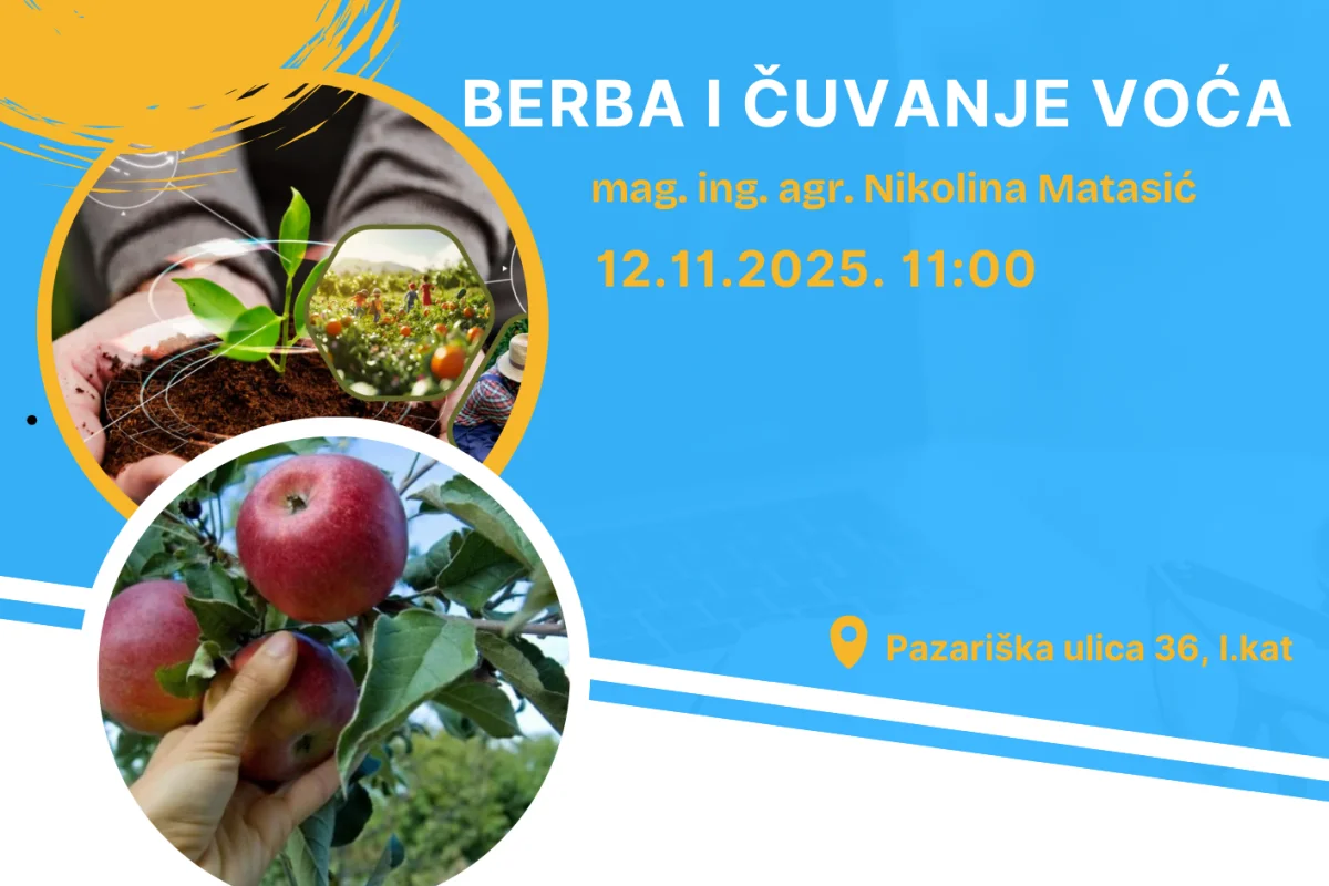 Dizajn_bez_naslova_1.png