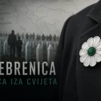 Srebrenica: priča iza cvijeta