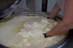 Škripavac delicija za svaki stol