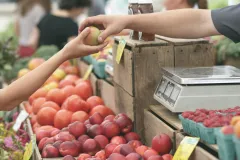 Sljedeći tjedan očekuje nas nova paleta proizvoda kojima će Vlada zamrznuti cijene