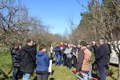 FOTO / Razvojni centar LSŽ educira voćare: U Ličkom Osiku održana stručna radionica o rezidbi i cijepljenju