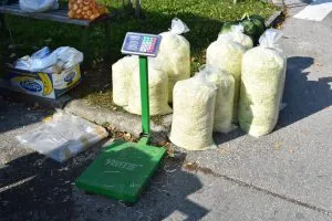 Stara lička receptura protiv sezonskih bolesti : slanina, češnjak i kiselo zelje