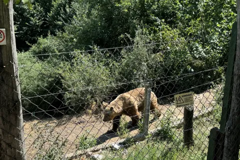 Iz Kutereva otišli volonteri, a stigao snijeg
