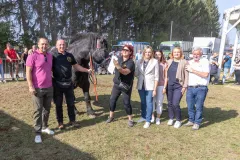 VIDEO Jesen u Lici - Prisjetimo se proglašenja najbolje ocjenjenih grla konja