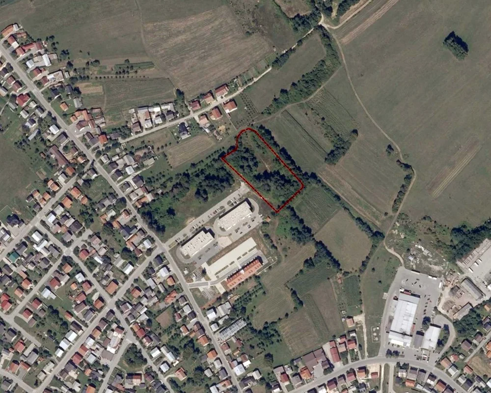ORTO-1.jpg