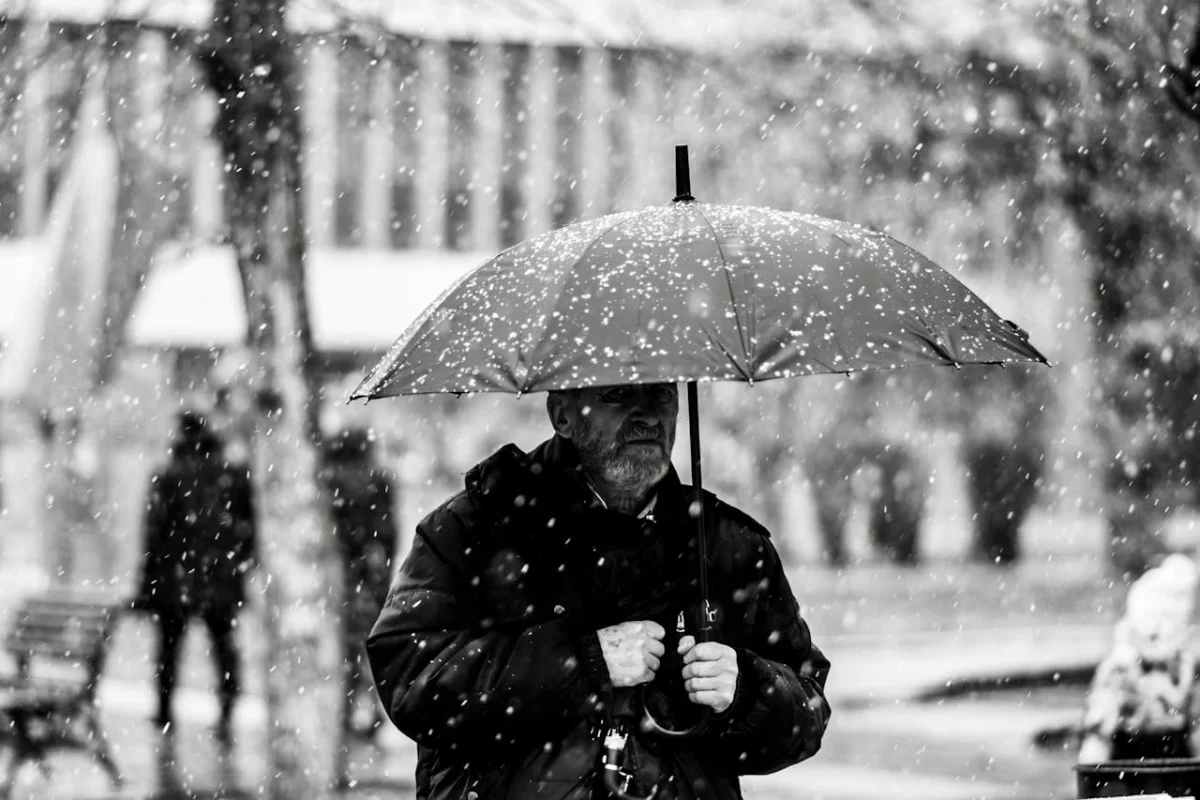 pexels-aleksandar-radovanovic-436503074-15326985.jpg