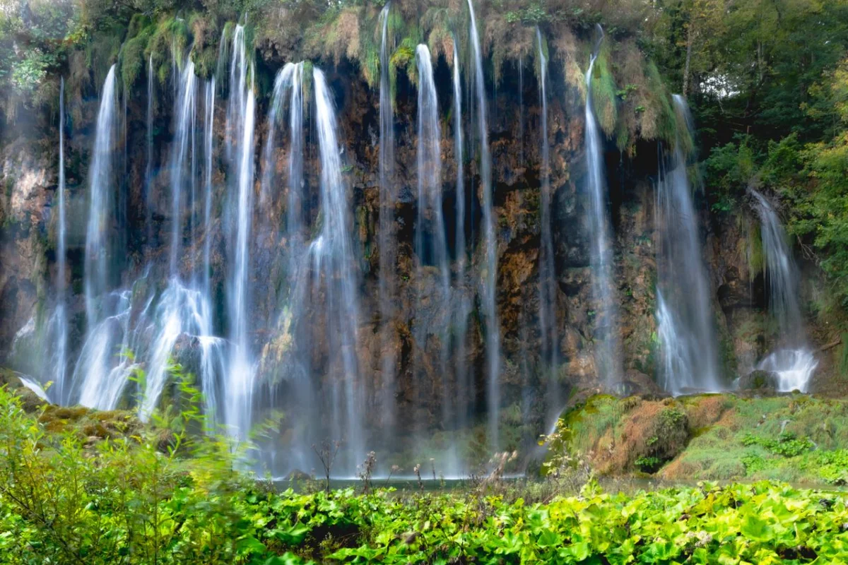 pexels-damir-plitvice.jpg