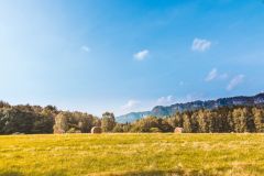 Objavljen natječaj za obnovu poljoprivrednog potencijala
