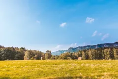 Objavljen natječaj za obnovu poljoprivrednog potencijala