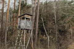 Novi Zakon o lovstvu u izradi: Naglasak na prevenciji šteta i razvoju ruralnih područja
