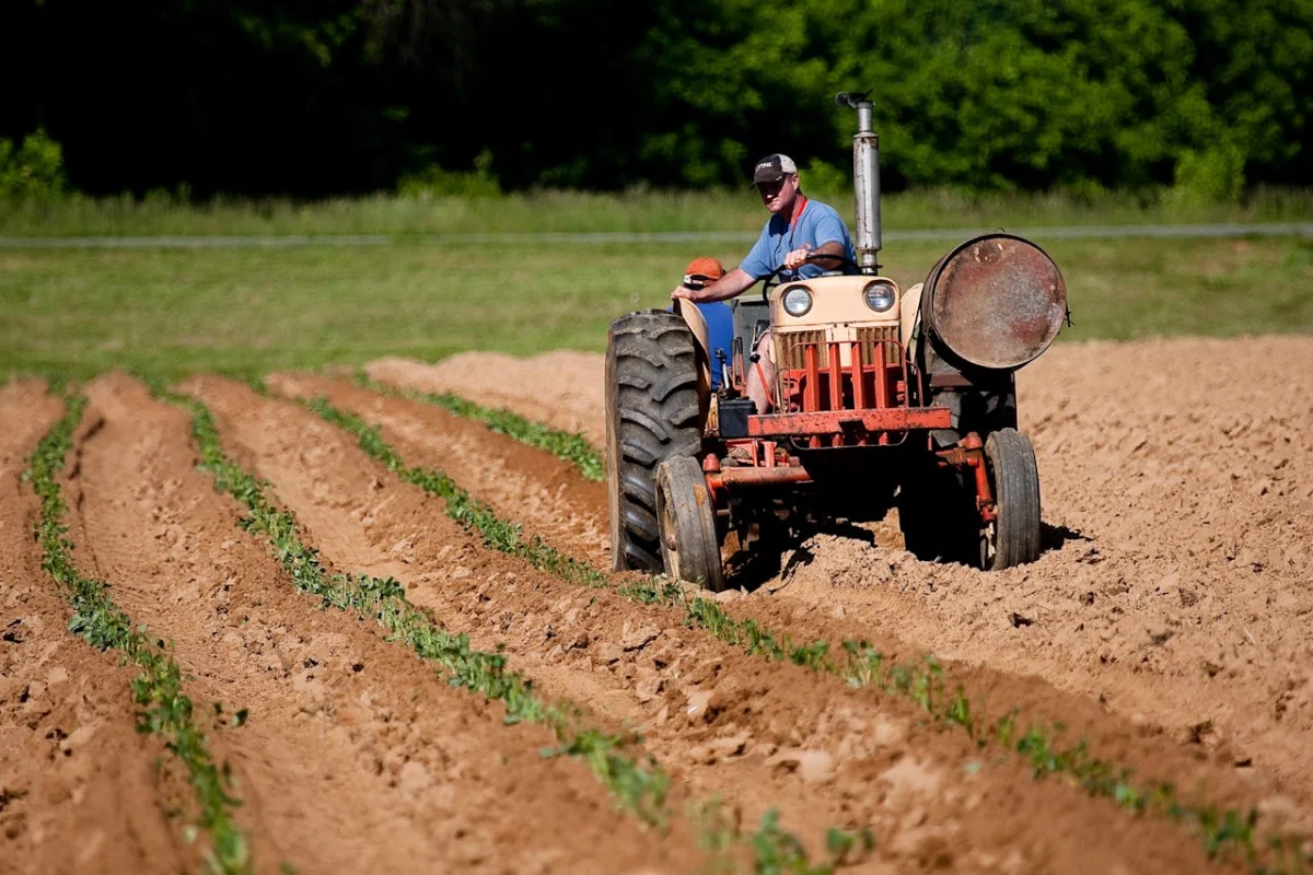 pexels-nc-farm-bureau-mark-2252618.jpg