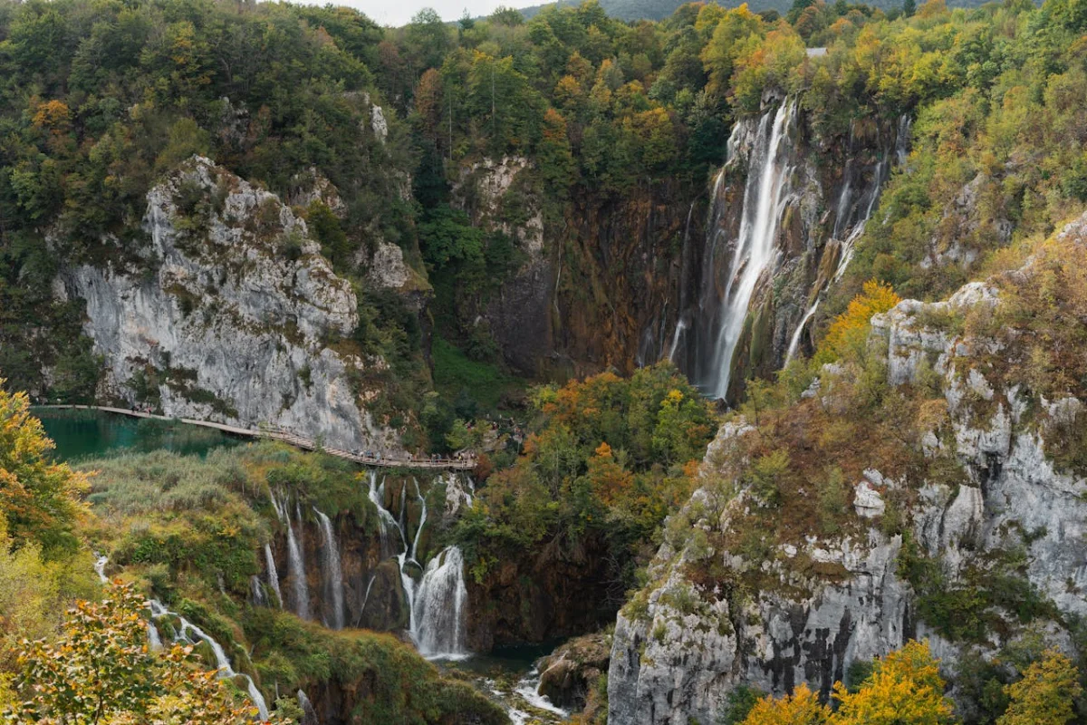 pexels-nici-gottstein-138431104-28652297.jpg