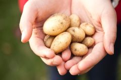 Uručeni ugovori mladim poljoprivrednicima vrijedni više od 6 milijuna eura