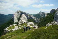 Vrtlarstvo na 1 500 metara: Pridruži se volonterskom programu “Njegovatelj planinskih biljaka” na Velebitu