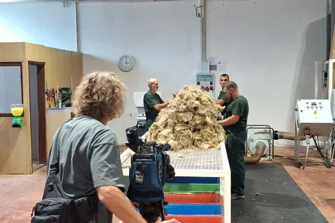 Eko zona snimila reportažu o Woolee gnojivu: Način transformacije ovčje vune u ekološko gnojivo