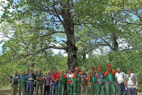 Dobra vijest za Laudonov gaj - uskoro će biti izgrađena učionica na otvorenom