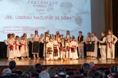 Čerišnjice putuju u Đakovo kao službeni predstavnici grada Otočca i županije