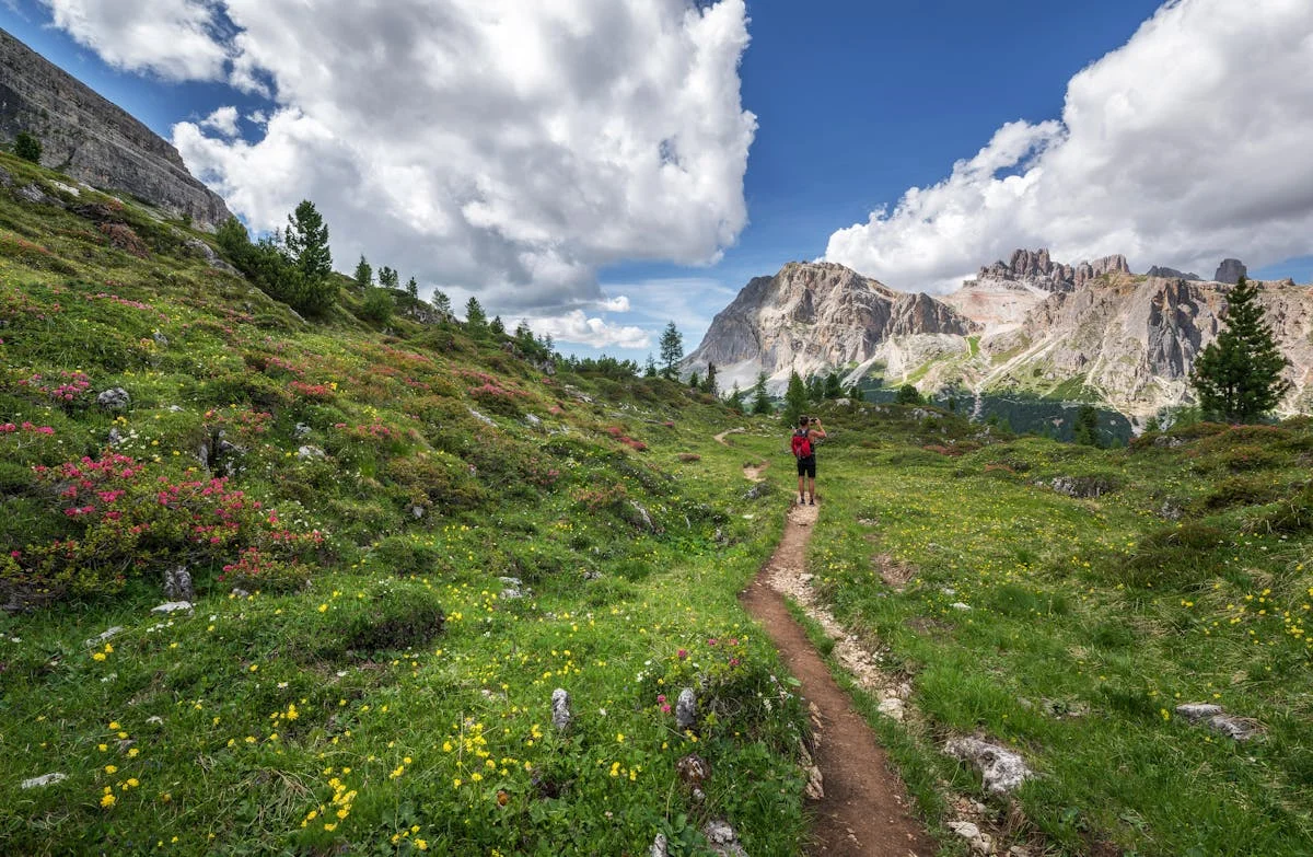 trail.jpg