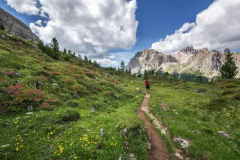 Uskoro peti po redu Barać Forest Trail