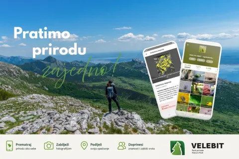 Prijavite opažanja biljaka, životinja i gljiva te pomozite očuvanju prirode Like i Velebita