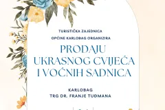 Zbog bure odgođena prodaja cvijeća i sadnica u Karlobagu