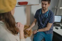Otvorena veterinarska ambulanta u Udbini