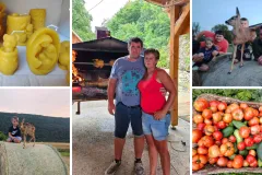 Zdenka Sertić - Jedna sasvim obična žena, majka, baka i kraljica