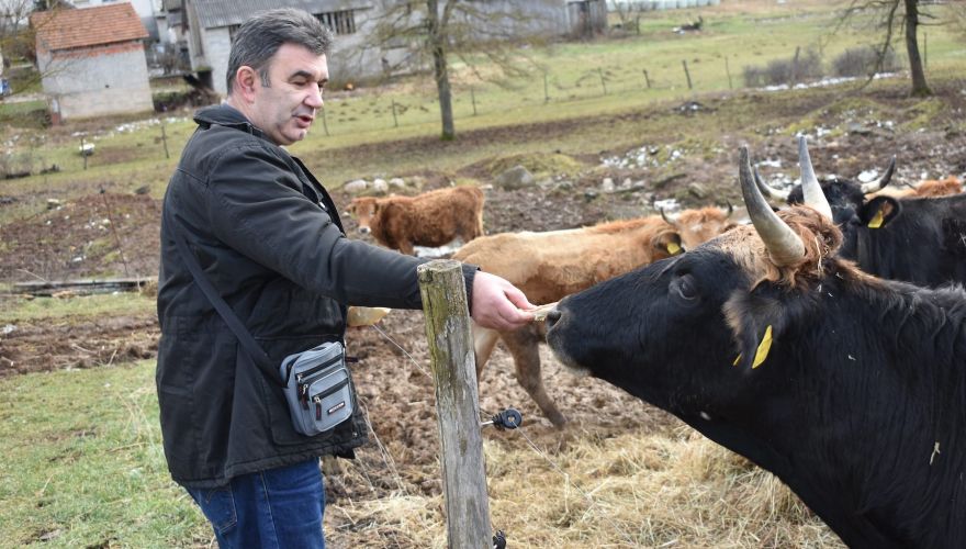 Najbolje iz Like - Buša sve više osvaja Liku