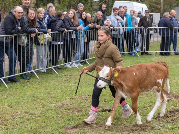 FOTO / Otvorene izložbe ličke pramenke i buše na “Jeseni u Lici” FOTO / Otvorene izložbe ličke pramenke i buše na “Jeseni u Lici”