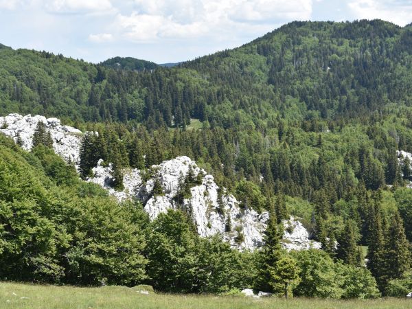 Prvi regionalni forum o razvoju Gorske Hrvatske u Otočcu Prvi regionalni forum o razvoju Gorske Hrvatske u Otočcu