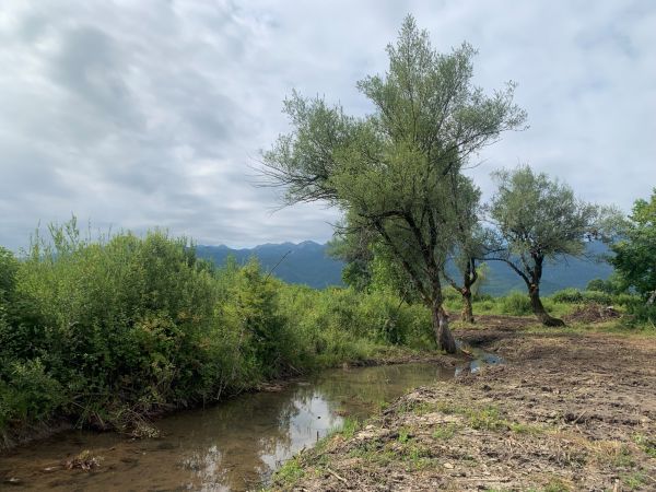 Čiste se uzvodni pritoci Like Čiste se uzvodni pritoci Like