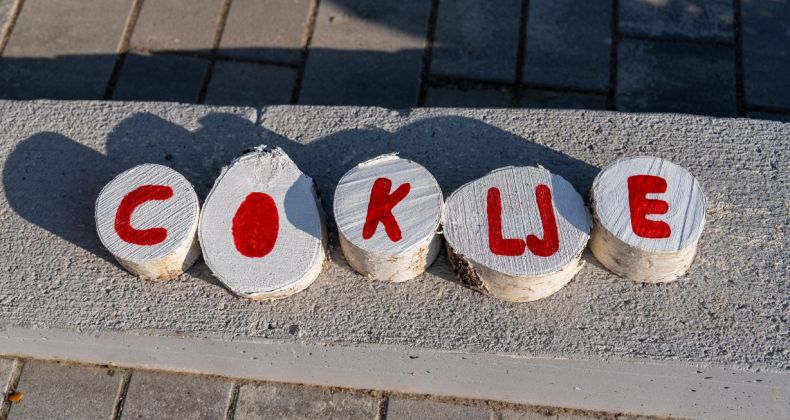 Najbolje iz Like - Otvorene prijave za izbor “Naj bećarca“ u sklopu 7. The Coklje festa