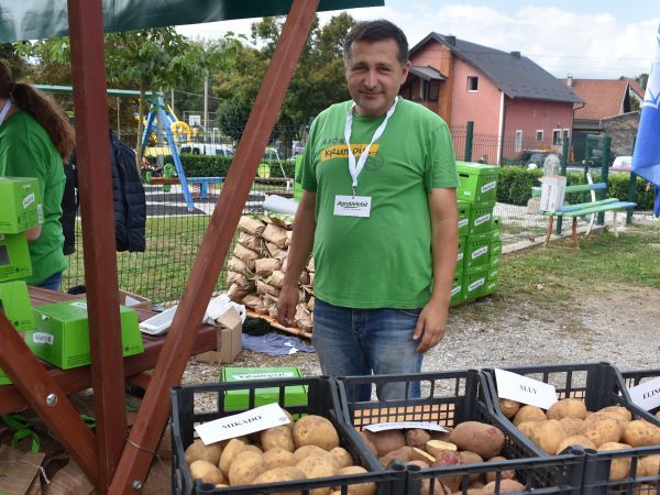 Lički krumpir ove godine ima odlične klimatske uvjete za rast