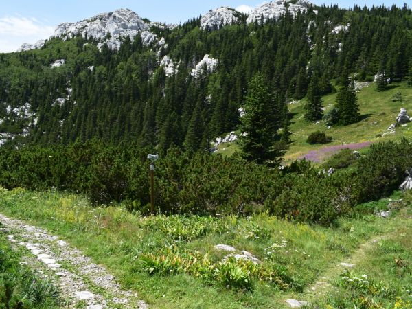 Nacionalni park Sjeverni Velebit danas slavi svoj 25. rođendan