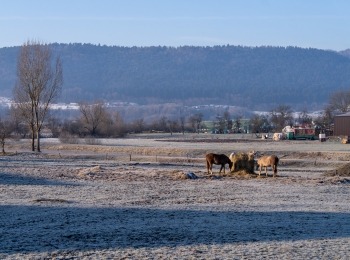 Autor Hrvoje Kostelac Pivac
