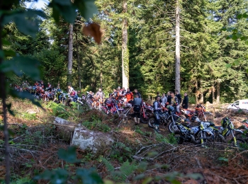 Autor Hrvoje Kostelac