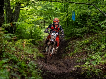 Autor Hrvoje Kostelac